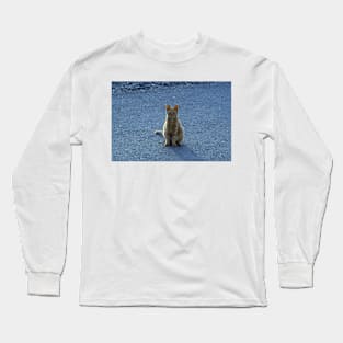 Ginger Cat Long Sleeve T-Shirt